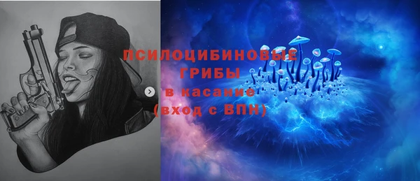 индика Балахна