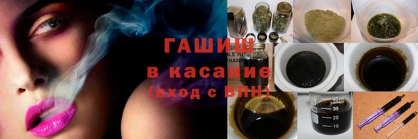 индика Балахна