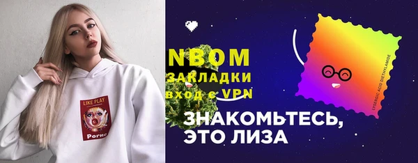 индика Балахна