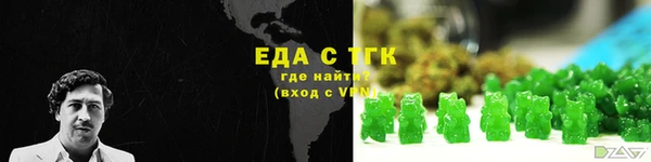 индика Балахна