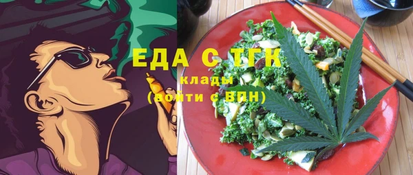 индика Балахна
