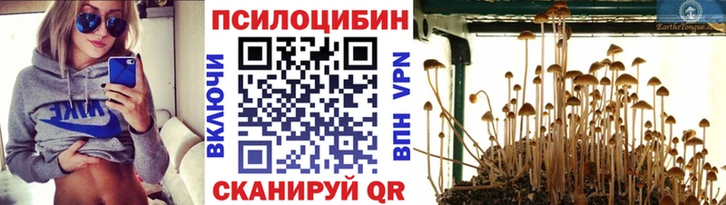 Псилоцибиновые грибы MAGIC MUSHROOMS  kraken как зайти  Трубчевск 